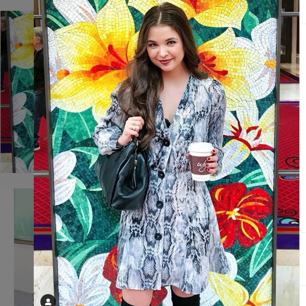 ZARA SNAKE PRINT LONGSLEEVE SILKY MINI DRESS XS